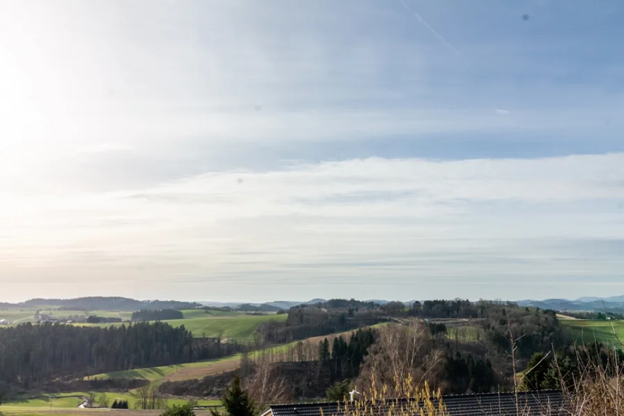 Ausblick (4) - Haus kaufen in Büchlberg - 180° WEITBLICK IN DIE FERNE Büchlberg/Denkhof: Einfamilienhaus in ruhiger Lage