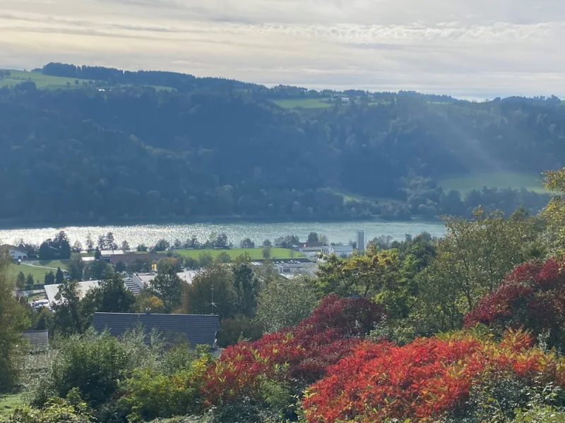 Ausblick (1) - Grundstück kaufen in Obernzell - 180°-Blick übers Donautal Obernzell: 956 m² Baugrund - Hanglage