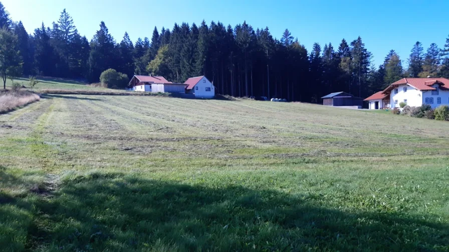 Grundstück (1) - Grundstück kaufen in Herzogsreut - Bauerwartungsland mit der Möglichkeit für 6 Grundstücke in Herzogsreut