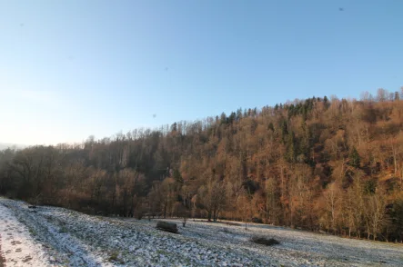 Grundstück (1) - Grundstück kaufen in Obernzell - Obernzell: 35.684 m² landwirtschaftliche Nutzfläche – Wiese – ideal auch als Ausgleichsfläche