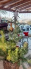 Terrasse (Winter) (2)