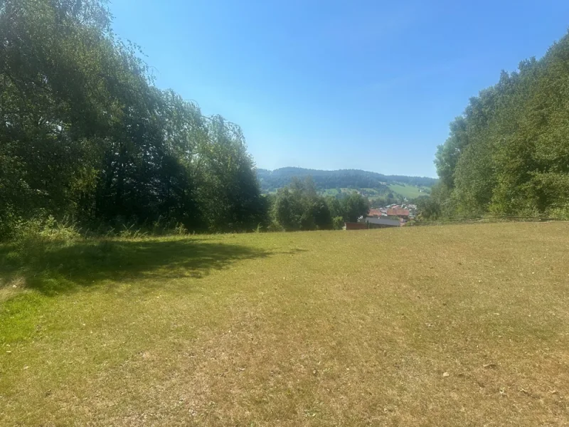 Ansicht (1) - Grundstück kaufen in Freyung - Baugrundstück mit Wiesenflächen in Freyung