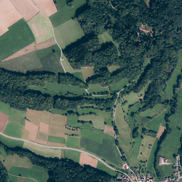 Titelbild - Grundstück kaufen in Kirchensittenbach - Ca. 50.350,00 m² Landwirtschaftliche Grundstücke zum Verkauf