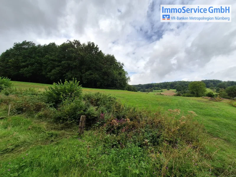 Beispielbild - Grundstück kaufen in Pommelsbrunn - Landwirtschaftliche Grundstücke ca. 9.440 m² zum Verkauf