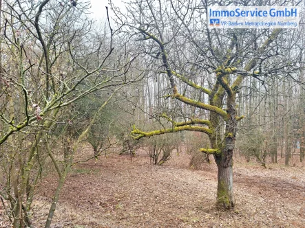 Titelfoto - Grundstück kaufen in Offenhausen - Idyllisches Freizeitgrundstück für Naturliebhaber mit ca. 3.380 m²!