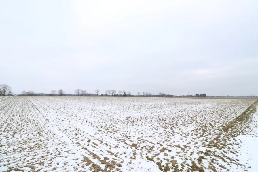 Grundstück - Grundstück kaufen in Langerringen / Schwabmühlhausen - Landwirtschaftliches Grundstück in Langerringen/ Schwabmühlhausen