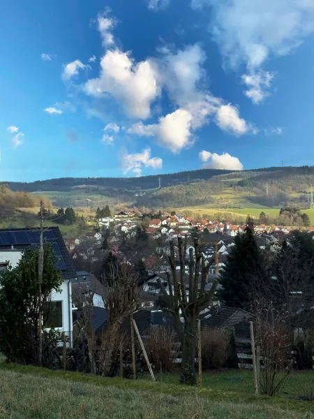 Aussicht auf Reichelsheim