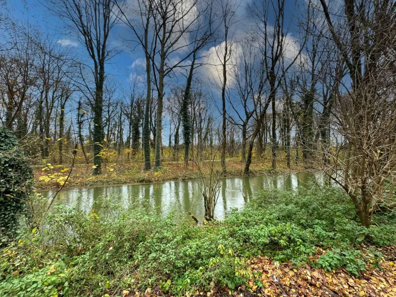 Aussicht über den Bach