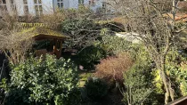 Blick vom Balkon in eingewachsenen Garten