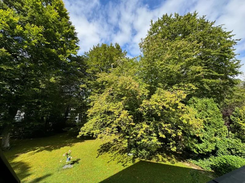 Ausblick Balkon