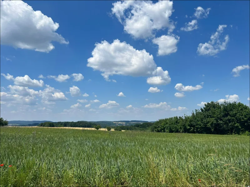 Muster - Grundstück kaufen in Aschaffenburg - ***Seltene Gelegenheit*** Großzügiges Baugrundstück in bester Lage am Godelsberg mit ca. 661m²