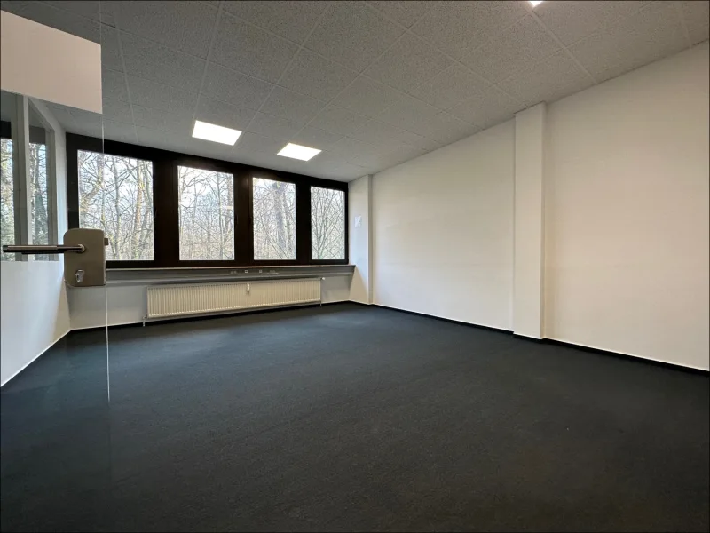 Büroraum - Büro/Praxis mieten in Stockstadt am Main - PROVISIONSFREI: großzügige Bürofläche im Jägerhof zu vermieten!