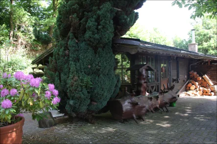 Jagdhaus  - Haus kaufen in Mömbris / Rappach - Traumhaftes Feriendomizil