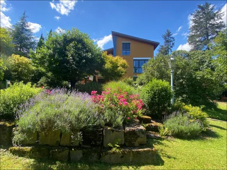 Traumhafter Garten! - Haus kaufen in Obernburg am Main - Architekten-Raumwunder mit traumhafter Aussicht!