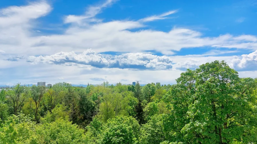 Panoramablick Berge