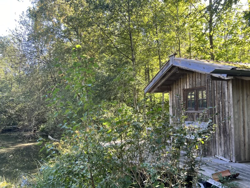 Bienenhaus - Grundstück kaufen in Kaltental - Aufkrich - Wald, Biotop, Bienenhaus, Mini-Fischteich, Freizeitgrundstück