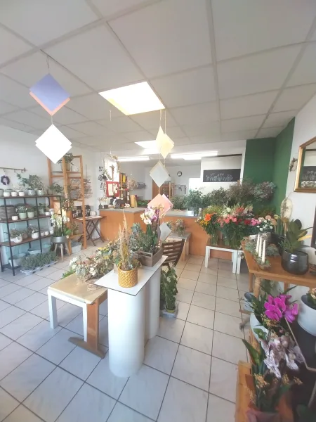 Blick von Schaufenster in den Laden - Laden/Einzelhandel mieten in Plattling - Laden für Einzelhandel /Büro