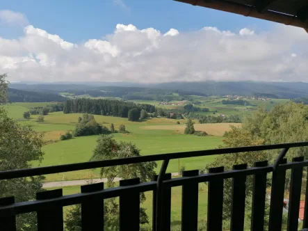 Aussicht r - Wohnung kaufen in Regen - Vermietetes Appartement in Urlaubsregion