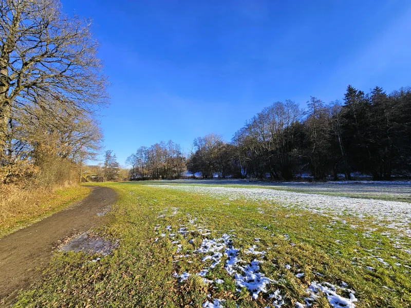 Umgebung Zuwegung Simmersee