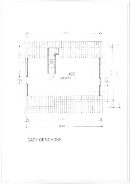 Grundriss DG