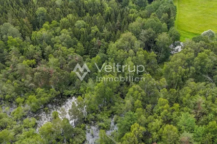 Forstgrundstück Wörthsee M - Grundstück kaufen in Wörthsee - MOOSTEIL - ÖKOLOGISCH WERTVOLLES WALDGRUNDSTÜCK IM RAUM WÖRTHSEE