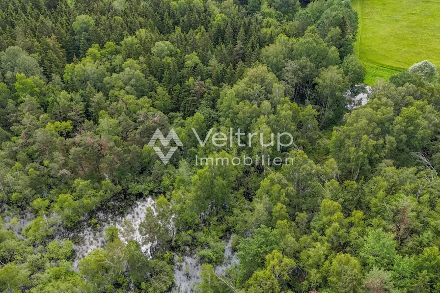 Forstgrundstück Wörthsee M - Grundstück kaufen in Wörthsee - MOOSTEIL - ÖKOLOGISCH WERTVOLLES WALDGRUNDSTÜCK IM RAUM WÖRTHSEE