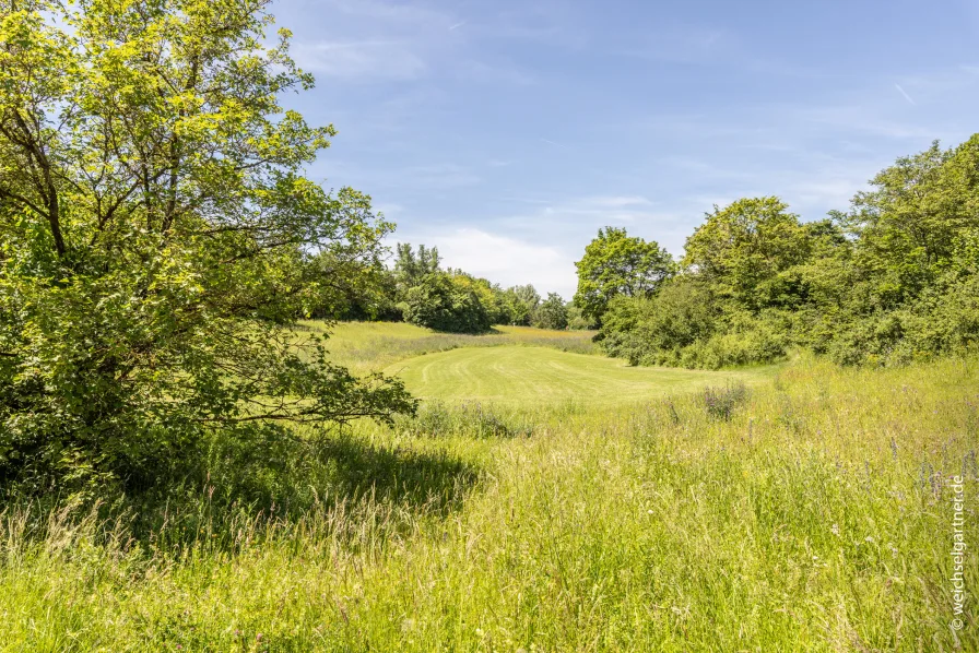 Weitere Parkaufnahme