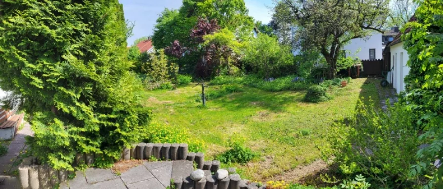 Blick in den eingewachsenen Garten mit Gartenhaus