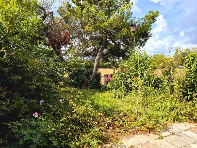 In Südlage - Nah zum Feld - Blick in den Garten