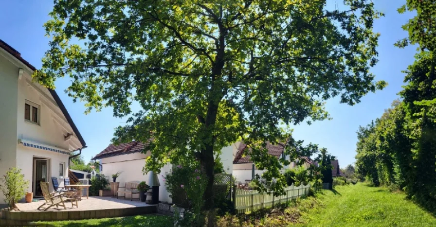 Erholung pur beim Blick ins anliegende Biotop