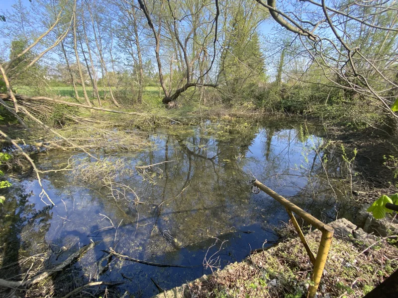 früherer Stall und Teich_2