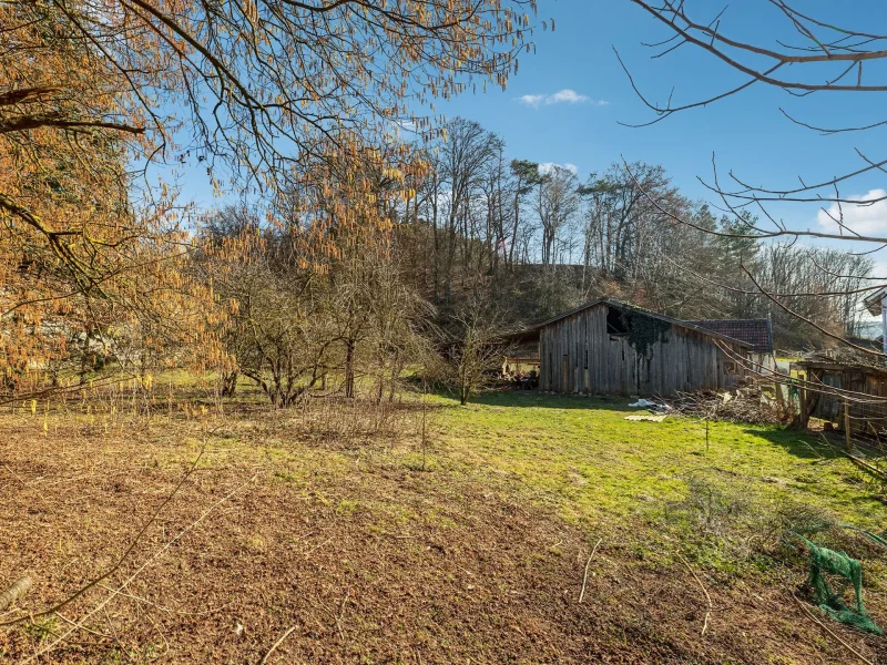 Titelbild - Grundstück kaufen in Schierling - Großes Baugrundstück in Allersdorf bei Schierling