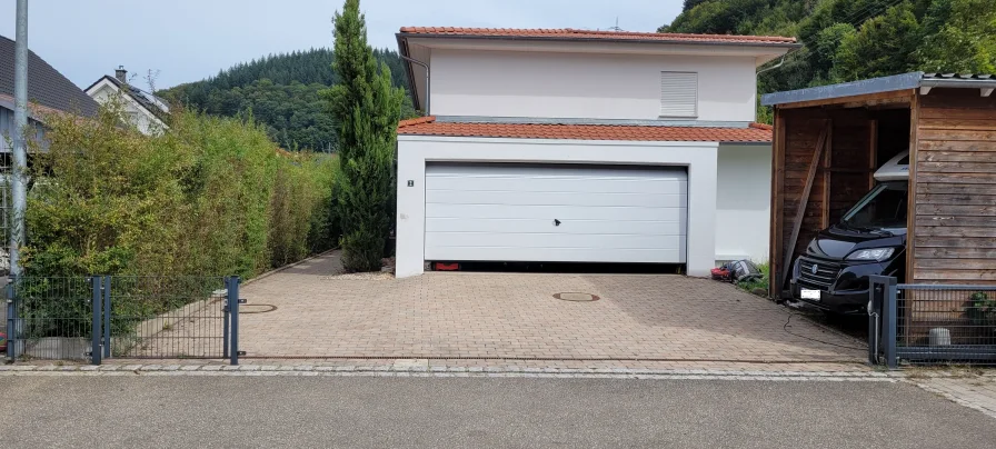 Grundstückszufahrt mit Garage 