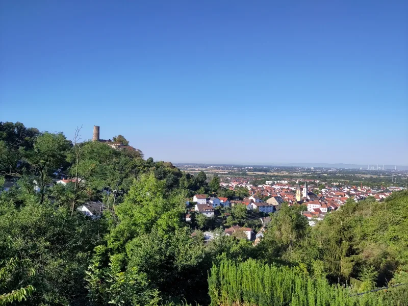 Blick auf Strahlenburg 