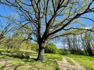 Natur zum Genießen