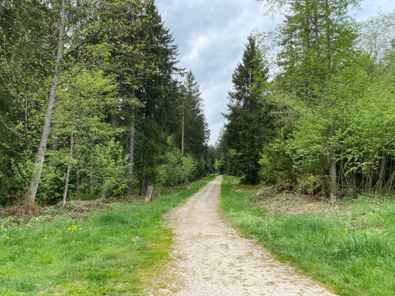 Wanderweg