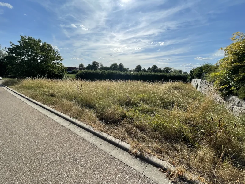 Baugrundstück in Wittelshofen - Grundstück kaufen in Wittelshofen - Baugrundstück in Wittelshofen