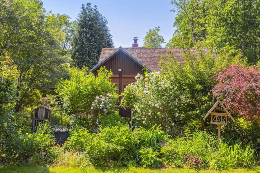 Blick vom Nachbargrundstück