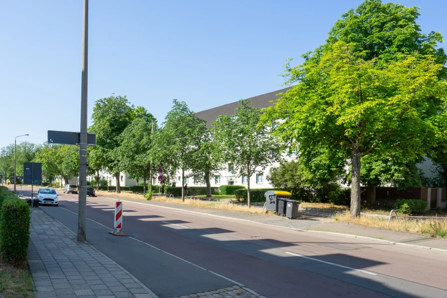 Straße Richtung Stadtzentrum