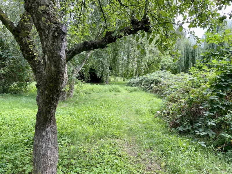 Biotop hinter dem Grundstück 2