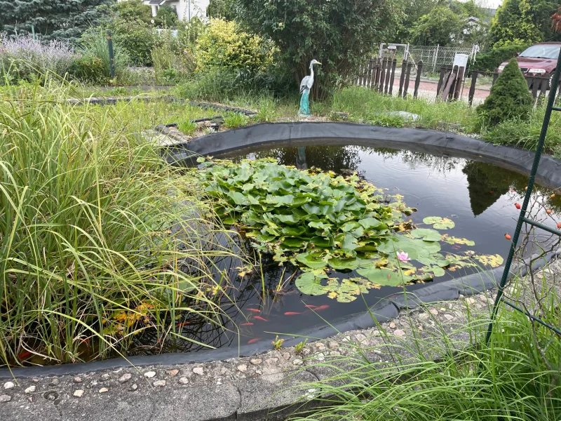 Gartenteich