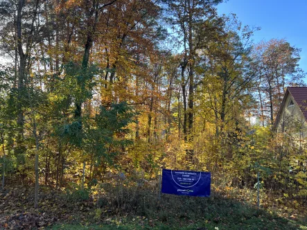 Grundstücksansicht - Grundstück kaufen in Wandlitz - Baugrundstück mit Baumbestand in ruhiger Lage von Wandlitz