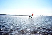 Surfer dem Müggelsee