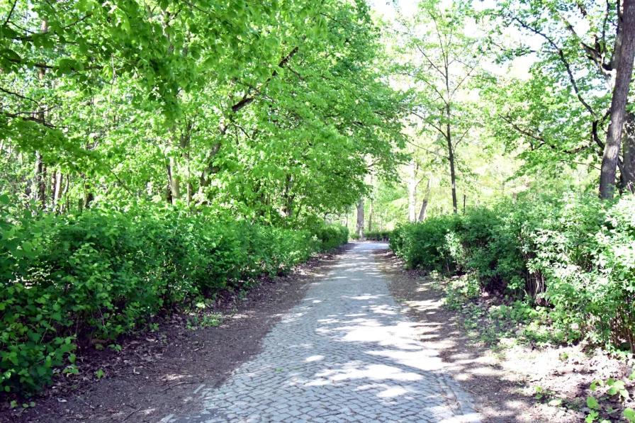 Waldweg