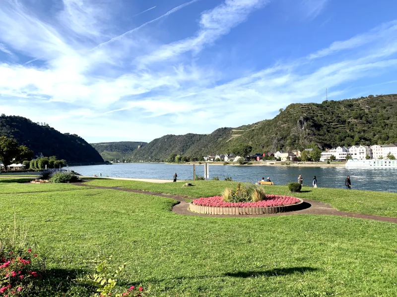 Blick links auf den Rhein 