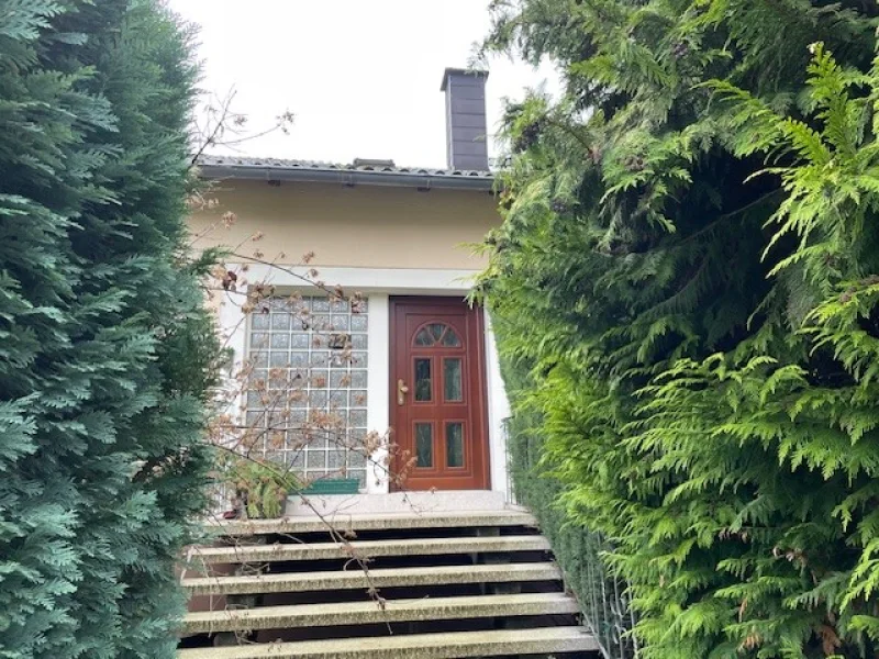 Eingangsbereich - Haus kaufen in Waldfischbach-Burgalben - Randlage im gewachsenen Wohngebiet - großzügiger Bungalow mit zwei Wohneinheiten 