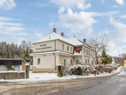 Ansicht - Haus kaufen in Thierstein - Mehrfamilienhaus mit vielen Möglichkeiten in Thierstein