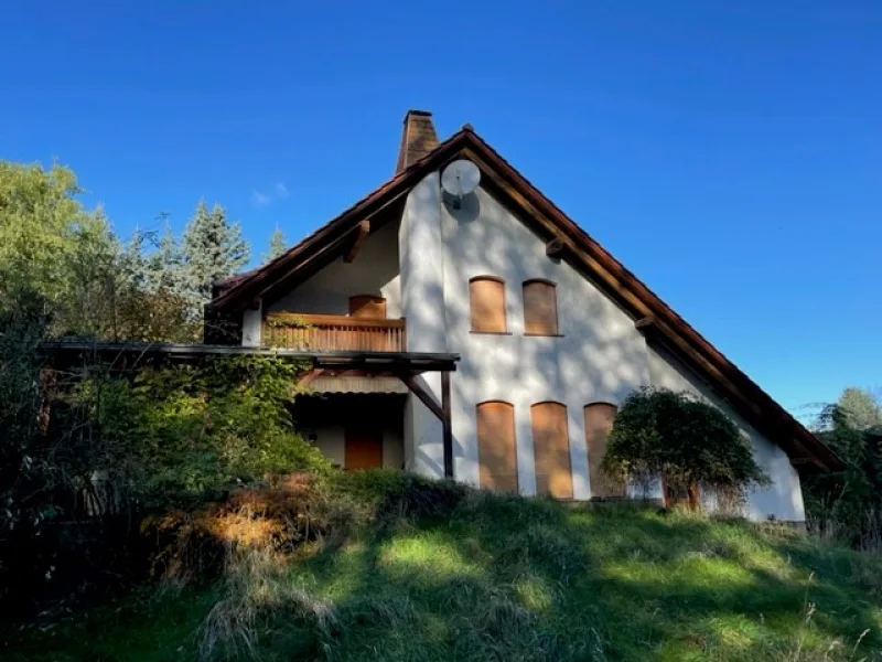 Entspannen und Natur genießen - Haus kaufen in Guben - Wunderschönes Architektenhaus in Guben