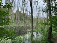 Briesetal NATUR PUR