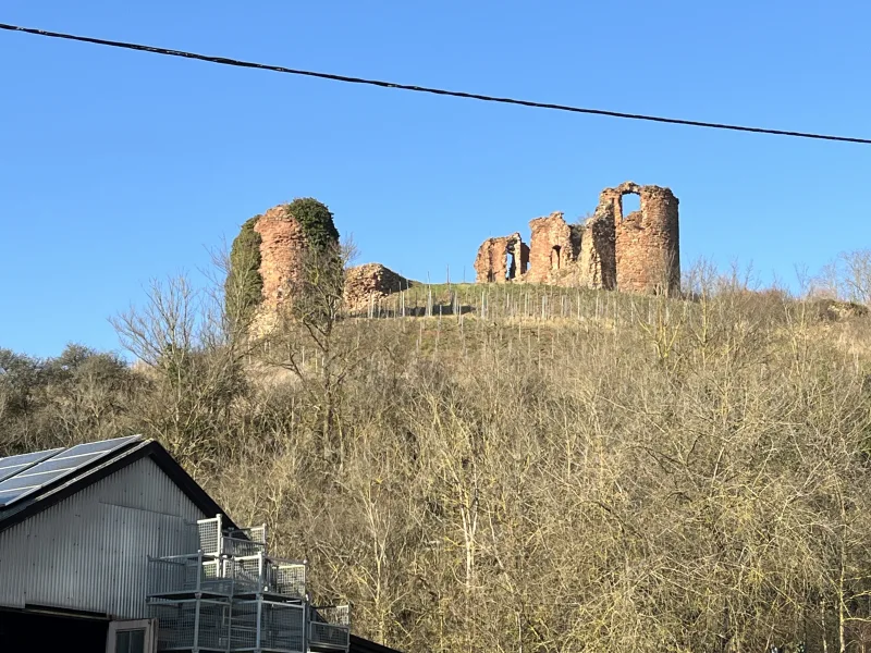 Burg Gutenburg